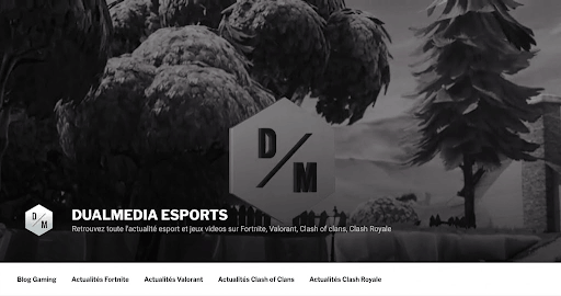 dualmedia esports website homepage layout